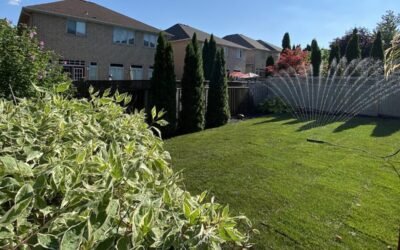 A Comprehensive Guide to Sod Installation in Hamilton, Ontario: Transforming Your Lawn with Kuba’s Kontracting