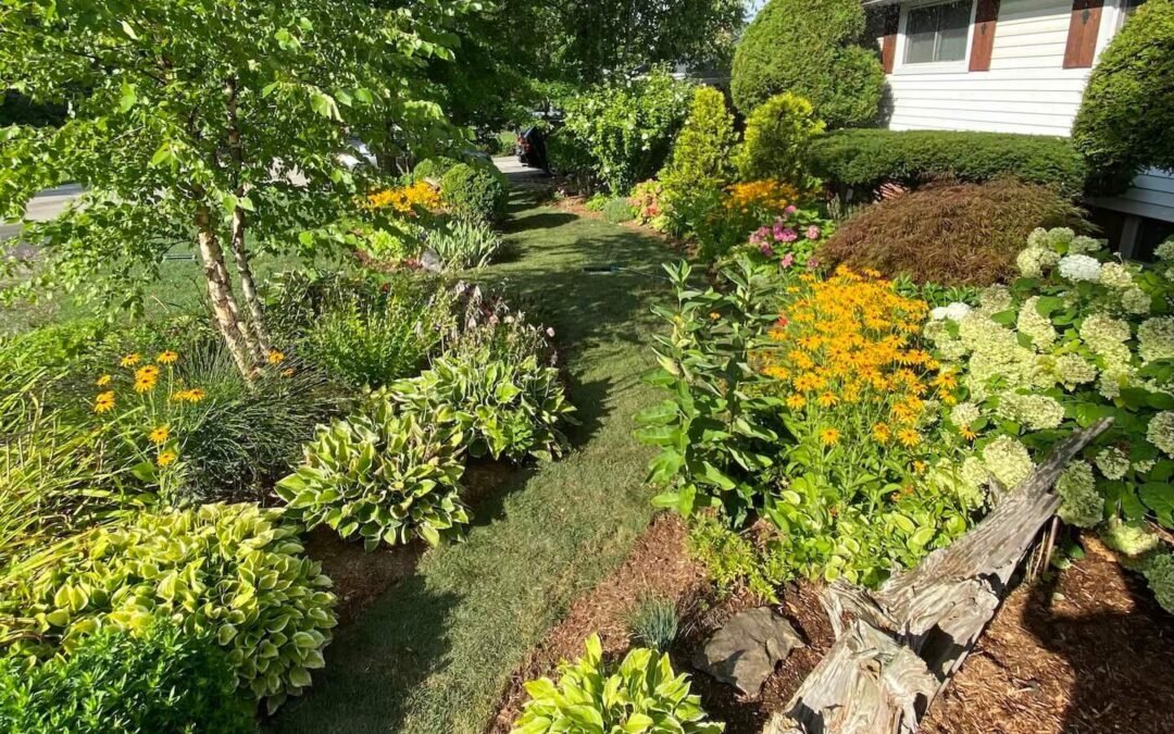 Enhancing Your Backyard Beauty: The Allure of Mulch Gardens and Walkways