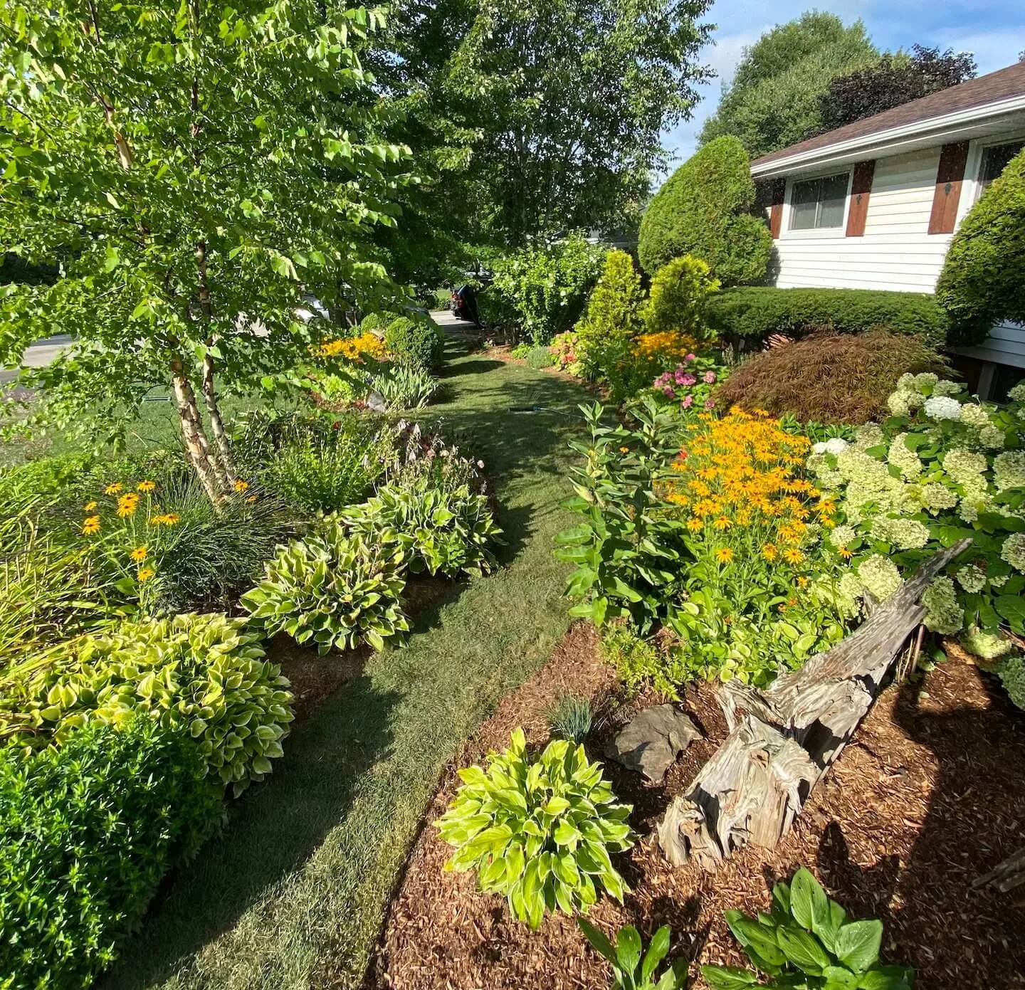 Enhancing Your Backyard Beauty: The Allure of Mulch Gardens and Walkways